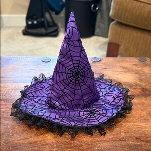 Purple Spiderweb Witch Hat